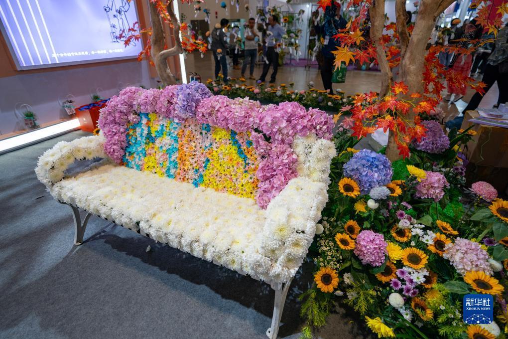 娱乐送自动彩金